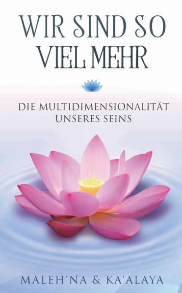 Wir sind so viel mehr: Die MultidimensionalitÃ¯Â¿Â½t unseres Seins