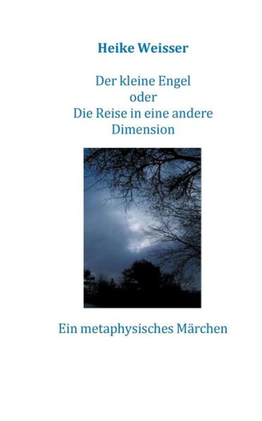 Der kleine Engel oder Die Reise in eine andere Dimension: Ein metaphysisches Märchen