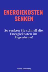 Title: Energiekosten senkenEnergiekosten senken: So senken Sie schnell die Energiekosten im Eigenheim!, Author: Andre Sternberg