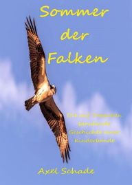 Title: Sommer der Falken: Die auf Tatsachen beruhende Geschichte einer Kinderbande, Author: Axel Schade