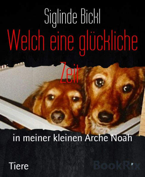 Welch eine glückliche Zeit: in meiner kleinen Arche Noah