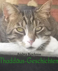 Title: Thaddäus-Geschichten, Author: Andrea Kochniss