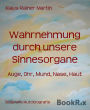 Wahrnehmung durch unsere Sinnesorgane: Auge, Ohr, Mund, Nase, Haut