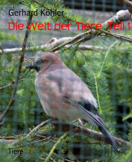 Title: Die Welt der Tiere Teil 1, Author: Gerhard Köhler