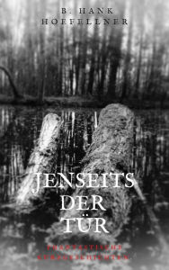 Title: Jenseits der Tür: Phantastische Kurzgeschichten, Author: Bernhard Höfellner