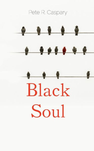 Black Soul: Ein Jahr im Leben von Popp