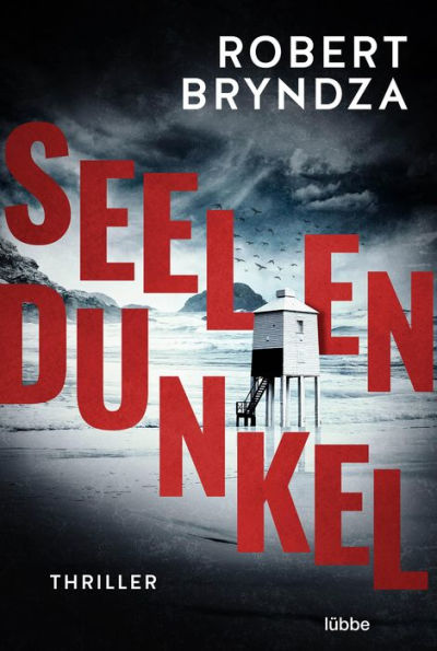 Seelendunkel: Thriller