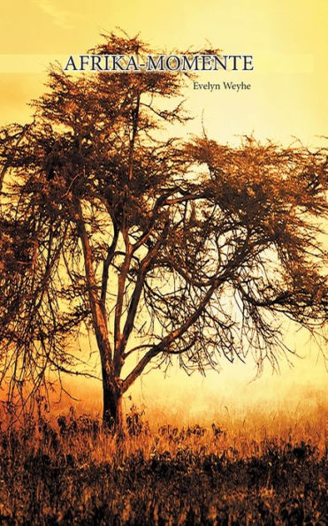Afrika Momente