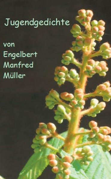 Jugendgedichte