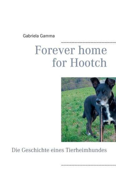 Forever home for Hootch: Die Geschichte eines Tierheimhundes