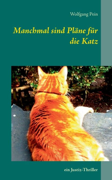 Manchmal sind Pläne für die Katz: ein Justiz-Thriller