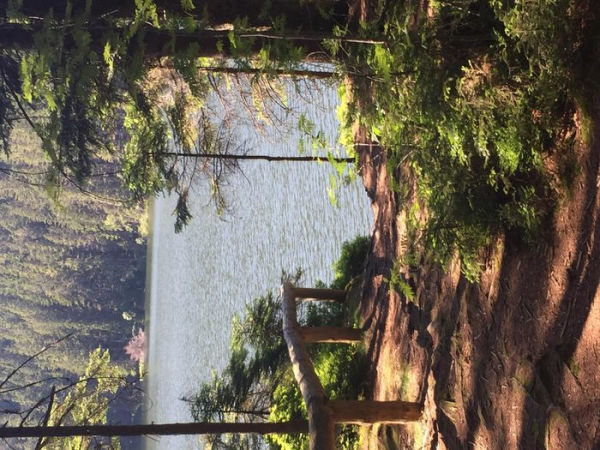 Leseprobe Welche Farbe tragen Engelsfedern