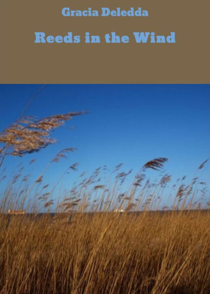 Reeds in the Wind