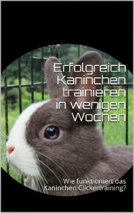Title: Erfolgreich Kaninchen trainieren in wenigen Wochen: Wie funktioniert das Kaninchen Clickertraining?, Author: Powerlifting check
