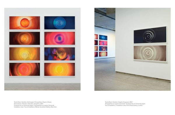 Tacita Dean: The Dante Project