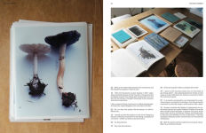 Alternative view 3 of The Lives of Documents: Photography as Project