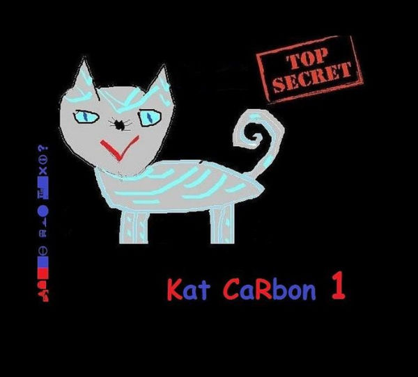 Kat CaRbon: Katze am Flughafen verloren! Cat lost at Airport!