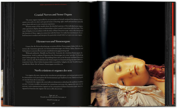 Anatomical Waxes. 45th Ed.