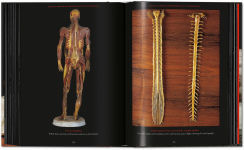 Alternative view 5 of Anatomical Waxes. 45th Ed.