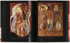 Alternative view 7 of Anatomical Waxes. 45th Ed.