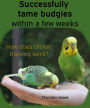 Successfully tame budgies within a few weeks: How does clicker training birds with budgerigars work? A step-by-step guide for budgies taming and parakeet training.