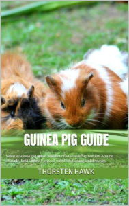 Title: Guinea Pig Guide: Around attitude, food, nutrition, taming and diseases, Author: Thorsten Hawk