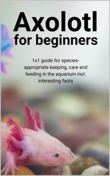 Axolotl for beginners: 1x1 guide for species-appropriate keeping, care and feeding in the aquarium incl. interesting facts