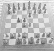 Title: Prinzipien des Schachspiels, Author: Roman Hirt