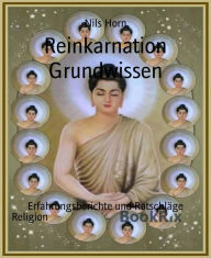 Title: Reinkarnation Grundwissen: Erfahrungsberichte und Ratschläge, Author: Nils Horn