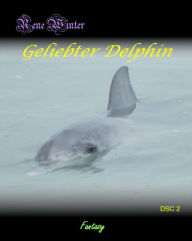 Title: Geliebter Delphin, Author: Rene Winter