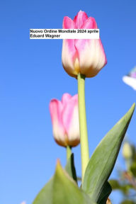 Title: Nuovo Ordine Mondiale 2024 aprile, Author: Eduard Wagner