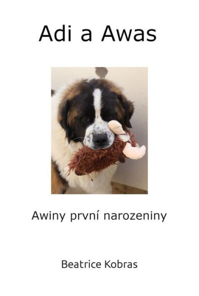 Adi a Awas - Awiny první narozeniny