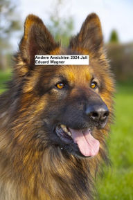 Title: Andere Ansichten Juli 2024, Author: Eduard Wagner