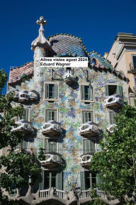 Title: Altres vistes agost 2024, Author: Eduard Wagner