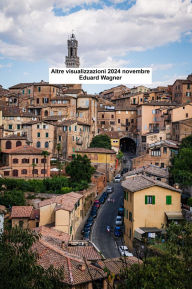 Title: Altre visualizzazioni 2024 novembre, Author: Eduard Wagner