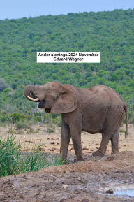 Title: Ander sienings 2024 November, Author: Eduard Wagner