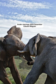 Title: Ander sienings 2024 Desember, Author: Eduard Wagner