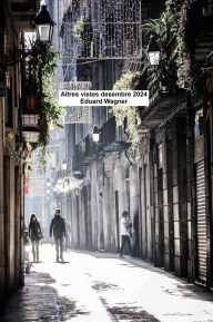 Title: Altres vistes desembre 2024, Author: Eduard Wagner