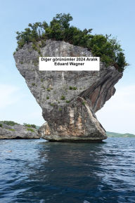 Title: Iba pang mga view 2024 Disyembre, Author: Eduard Wagner