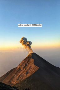 Title: Aðrar skoðanir 2025 janúar, Author: Eduard Wagner