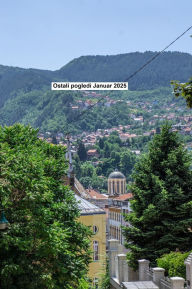 Title: Ostali pogledi Januar 2025, Author: Eduard Wagner