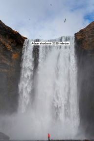 Title: Aðrar skoðanir 2025 febrúar, Author: Eduard Wagner