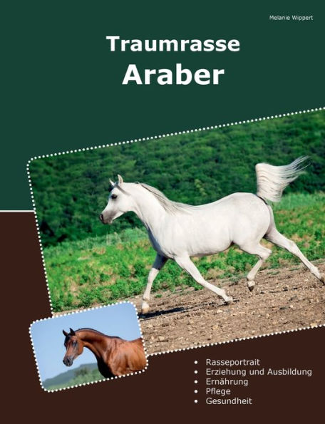 Traumrasse Araber