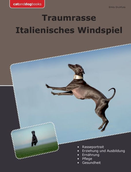 Traumrasse Italienisches Windspiel