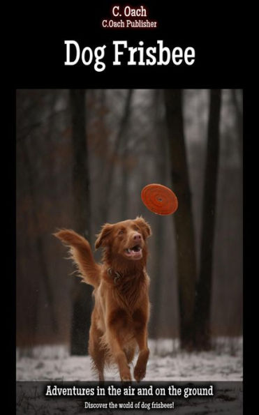 Dog Frisbee: Discover the world of dog frisbees!