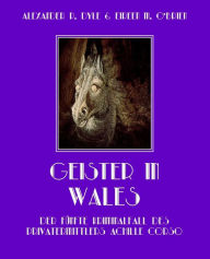 Title: Geister in Wales: Der fünfte Kriminalfall des Privatermittlers Achille Corso, Author: Alexander P. Dyle