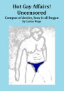 Hot Gay Affairs! Uncensored: Campus of desire, how it all began