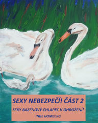 Title: Sexy nebezpecí! Cást 2: Sexy bazénový chlapec v ohrození!, Author: Inge Homberg