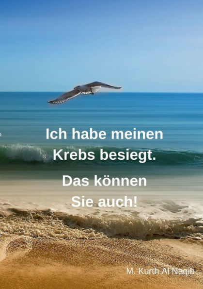 Ich habe meinen Krebs besiegt. Das kï¿½nnen Sie auch!: 11 Jahre ist es her, dass der Krebs mein altes Leben auf den Kopf stellte. Ich bin seit Jahren frei von Krebs, bin gesund und fï¿½hle mich sehr wohl.