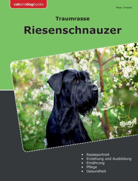 Traumrasse Riesenschnauzer